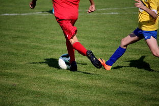 leyu乐鱼官网登录入口-特色足球文化在国际博览会中亮相，展示国家软实力，世界足球文化