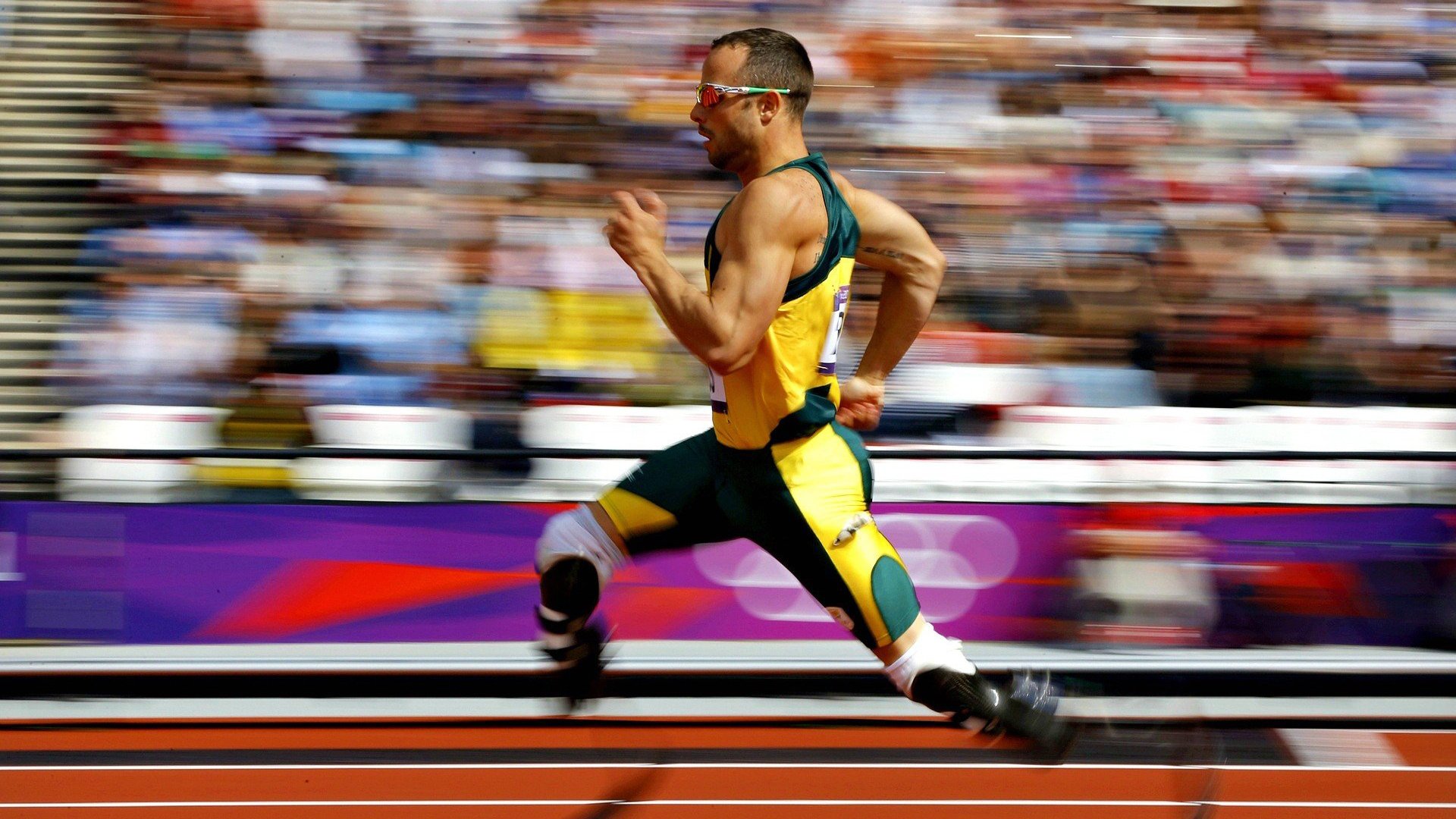 共话数字经济，“丝路电商日”成焦点活动